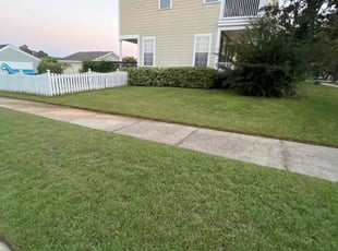 Caroline S.'s Lawn Mowing service result