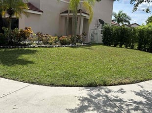 Viviana G.'s Lawn Service service result