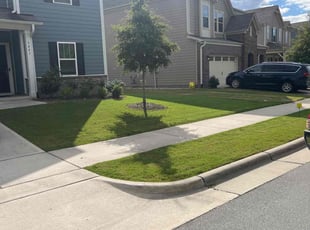LiMin C.'s Grass Cutting service result