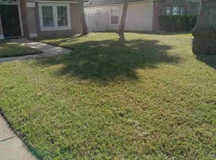Celia E.'s Lawn Care service result