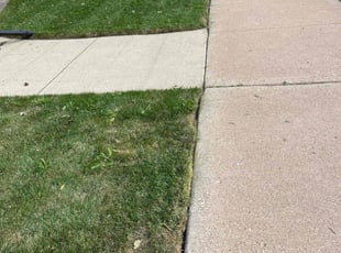 Vincent N.'s Lawn Mowing Service service result