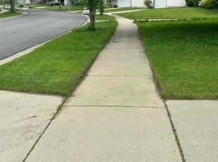 Patricia T.'s Lawn Mowing service result
