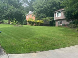 Alisa P.'s Lawn Maintenance service result