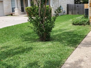 In-Hye S.'s Lawn Service service result