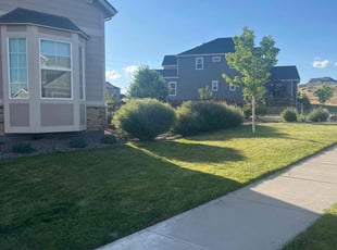 Randolph P.'s Grass Cutting service result