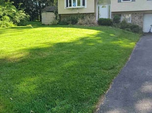 Amber H.'s Lawn Maintenance service result