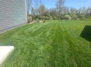 Grace W.'s Lawn Care service result