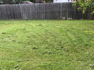 Bush Trimming by Jai Kately for Legend H. in Cedar Hill, TX
