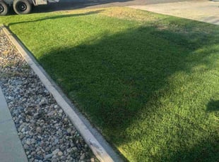Valerie C.'s Yard Cutting service result
