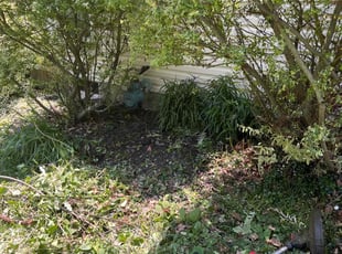Weeding by Valquez Russell for Lisa M. in Columbus, OH