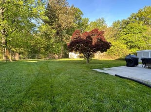 Francine D.'s Yard Cutting service result