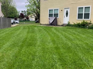 Veronica J.'s Grass Cutting service result