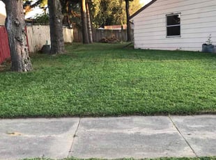 Tabitha A.'s Lawn Service service result
