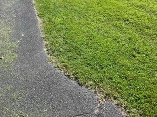 Linda W.'s Lawn Care service result