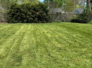 Lauren & Peyton W.'s Lawn Mowing Service service result
