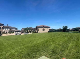 Dylan B.'s Lawn Mowing service result
