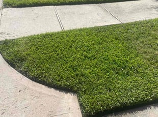 Jordan T.'s Lawn Service service result