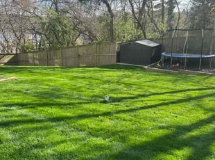 Amy E.'s Lawn Mowing service result