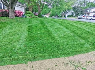 Bendu J.'s Lawn Mowing service result