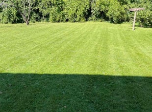 Chris C.'s Lawn Service service result