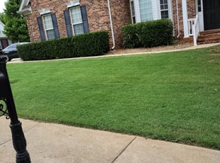 Bush Trimming by Brian Winchester for Forrest V. in Simpsonville, SC