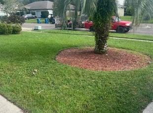 David M.'s Lawn Maintenance service result