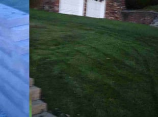 Alicia A.'s Lawn Mowing Service service result