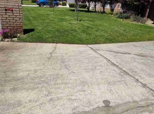Whay C.'s Lawn Care service result