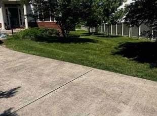 Karen J.'s Lawn Service service result