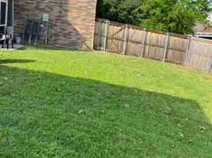 Lisa H.'s Lawn Mowing service result