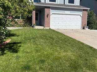 Claudine H.'s Lawn Service service result
