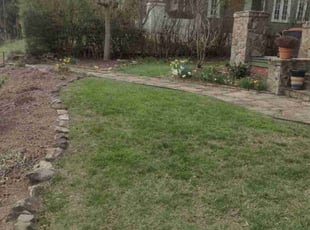 Leaf Removal by Dameatric Taylor for Bruce H. in Asheville, NC