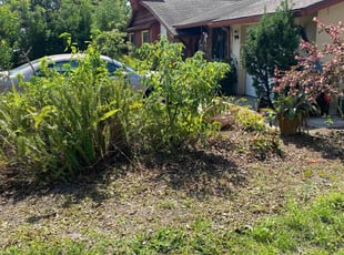 Leaf Removal by Jermaine Cooper for Kevin L. in Winter Park, FL