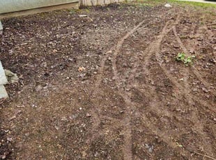 Leaf Removal by Juan Rodriguez for Terry P. in Sacramento, CA