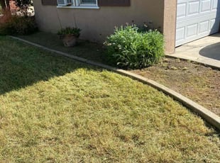 Weeding by David Morgan for SCHALONDA B. in Bakersfield, CA
