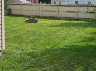 Lucas S.'s Grass Cutting service result