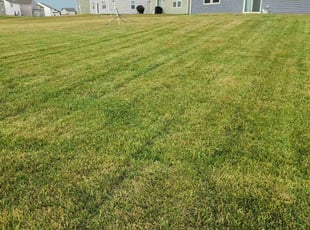 Sandra A.'s Grass Cutting service result