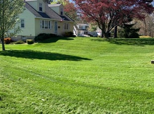 Sam G.'s Lawn Care service result
