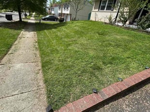 Amy B.'s Lawn Care service result