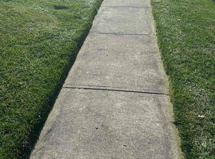 Jerry H.'s Lawn Mowing service result