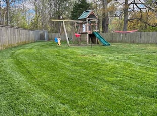 Bradley T.'s Lawn Mowing Service service result