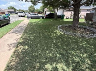 Dean H.'s Lawn Mowing service result