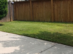 Bush Trimming by Derrick Crudup for Tonya A. in Morrisville, NC