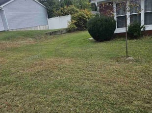 Jack J.'s Lawn Care service result