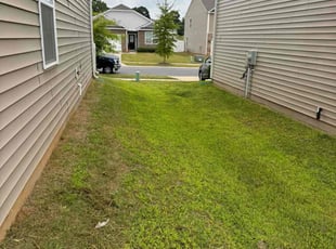 Emma C.'s Lawn Maintenance service result
