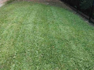 Christie D.'s Lawn Mowing Service service result