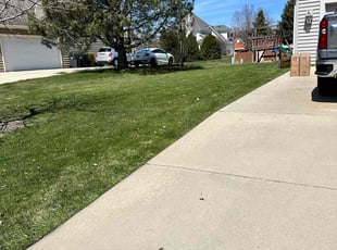 Jasmine P.'s Lawn Mowing Service service result
