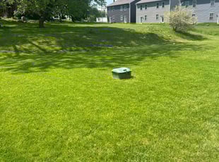 Hector M.'s Lawn Care service result