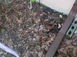 Weeding by Christopher Oropeza for Jen C. in Winter Park, FL