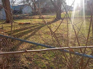 Leaf Removal by Lance Reynolds for Angela J. in Prairie Village, KS